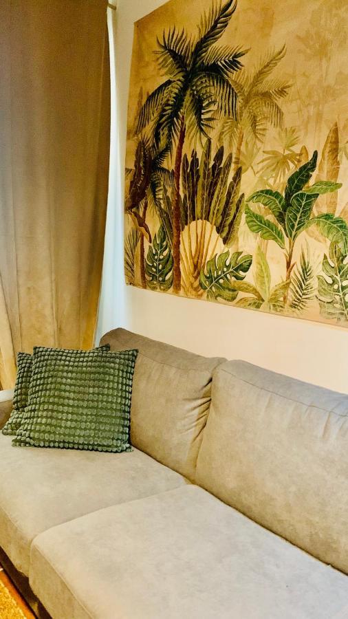 Studios De La Maison Narbonnaise Narbona Zewnętrze zdjęcie